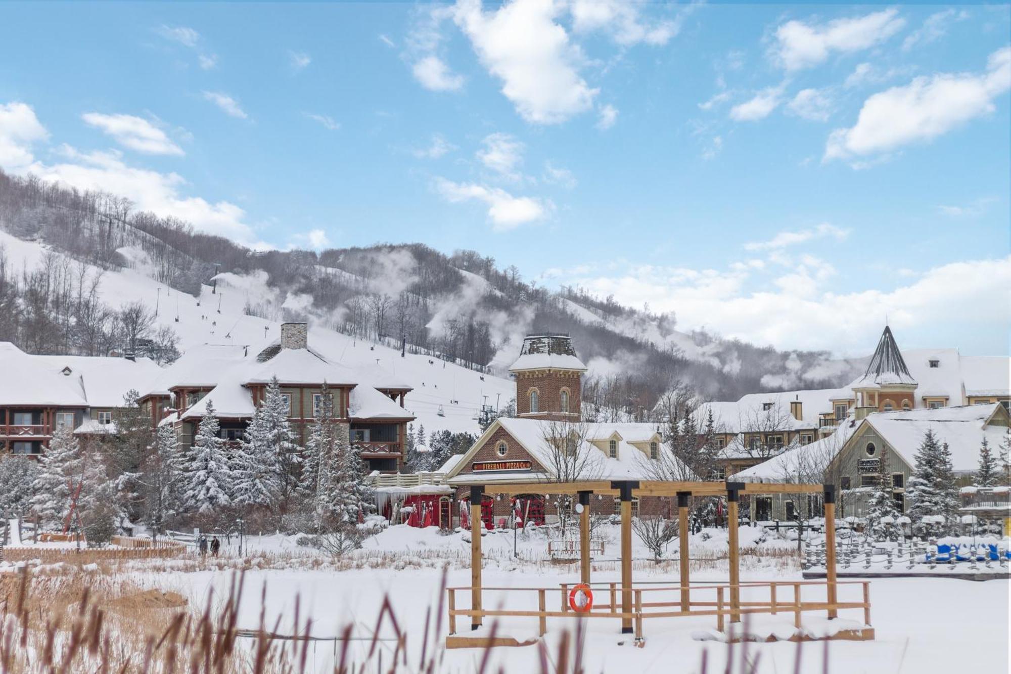 Вілла Blue Mtn Getaway In Historic Snowbridge Chalet Колінгвуд Екстер'єр фото