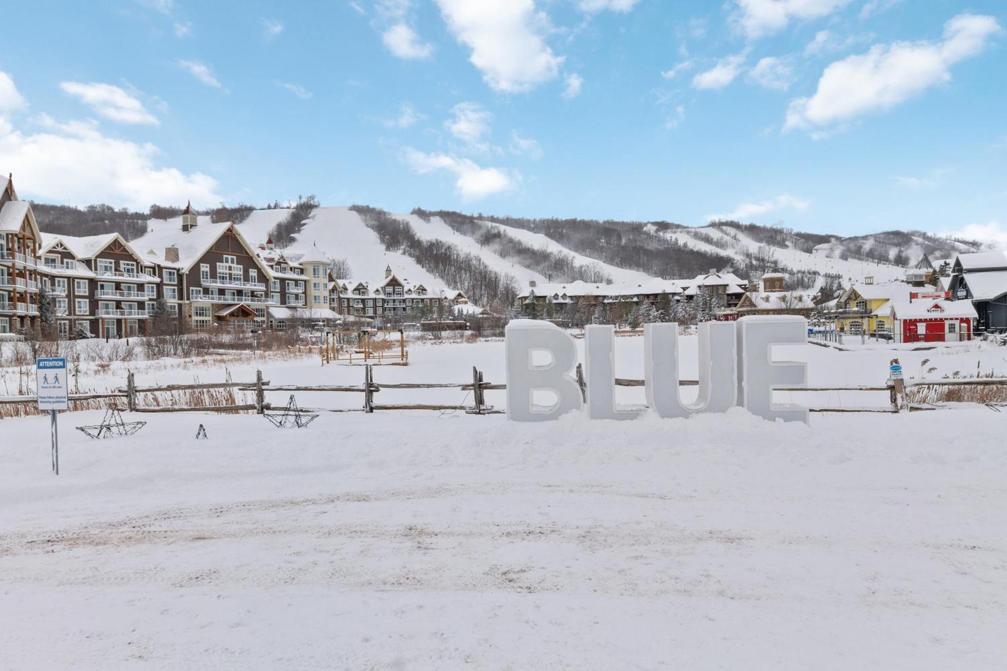 Вілла Blue Mtn Getaway In Historic Snowbridge Chalet Колінгвуд Екстер'єр фото