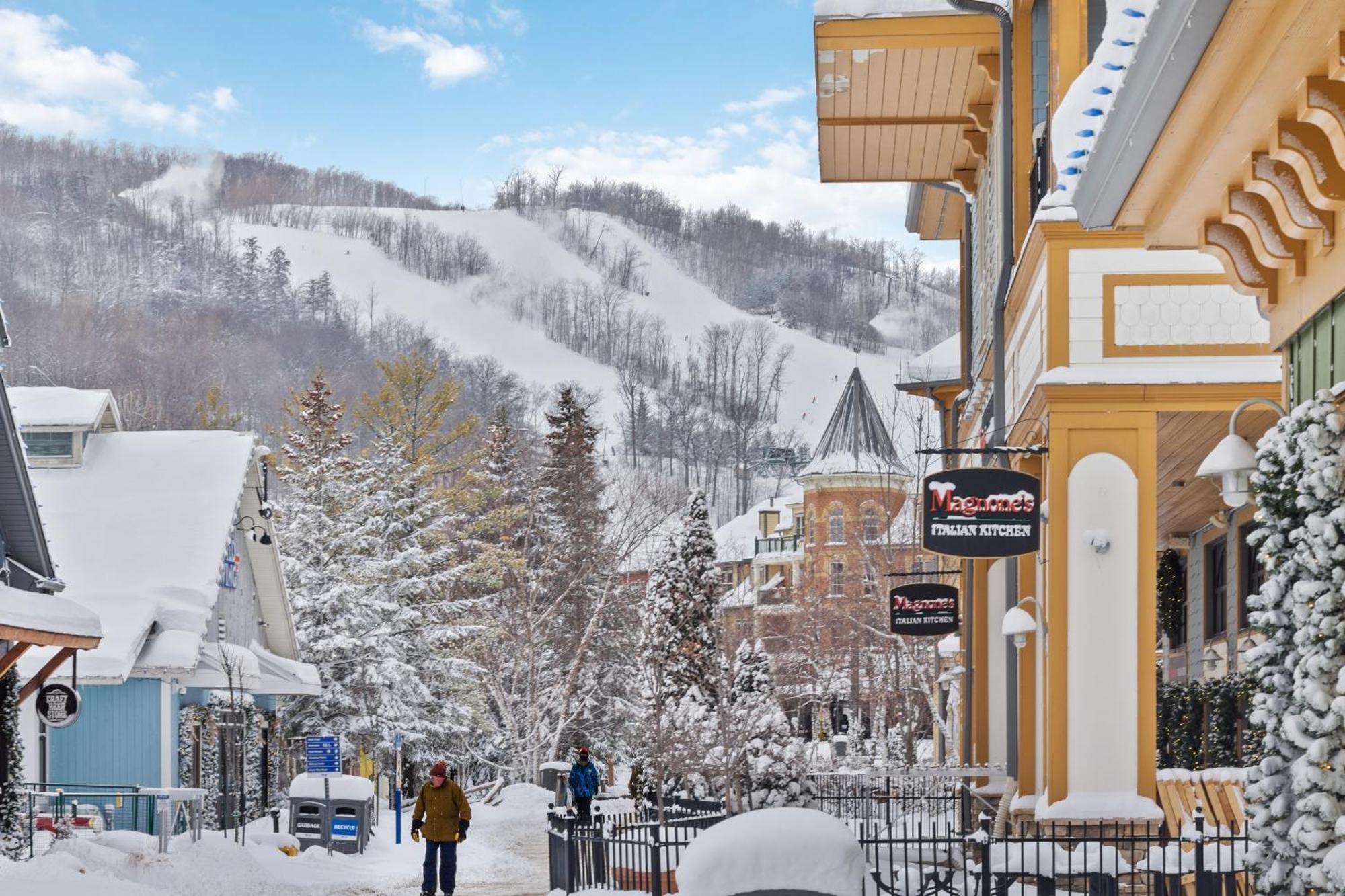 Вілла Blue Mtn Getaway In Historic Snowbridge Chalet Колінгвуд Екстер'єр фото