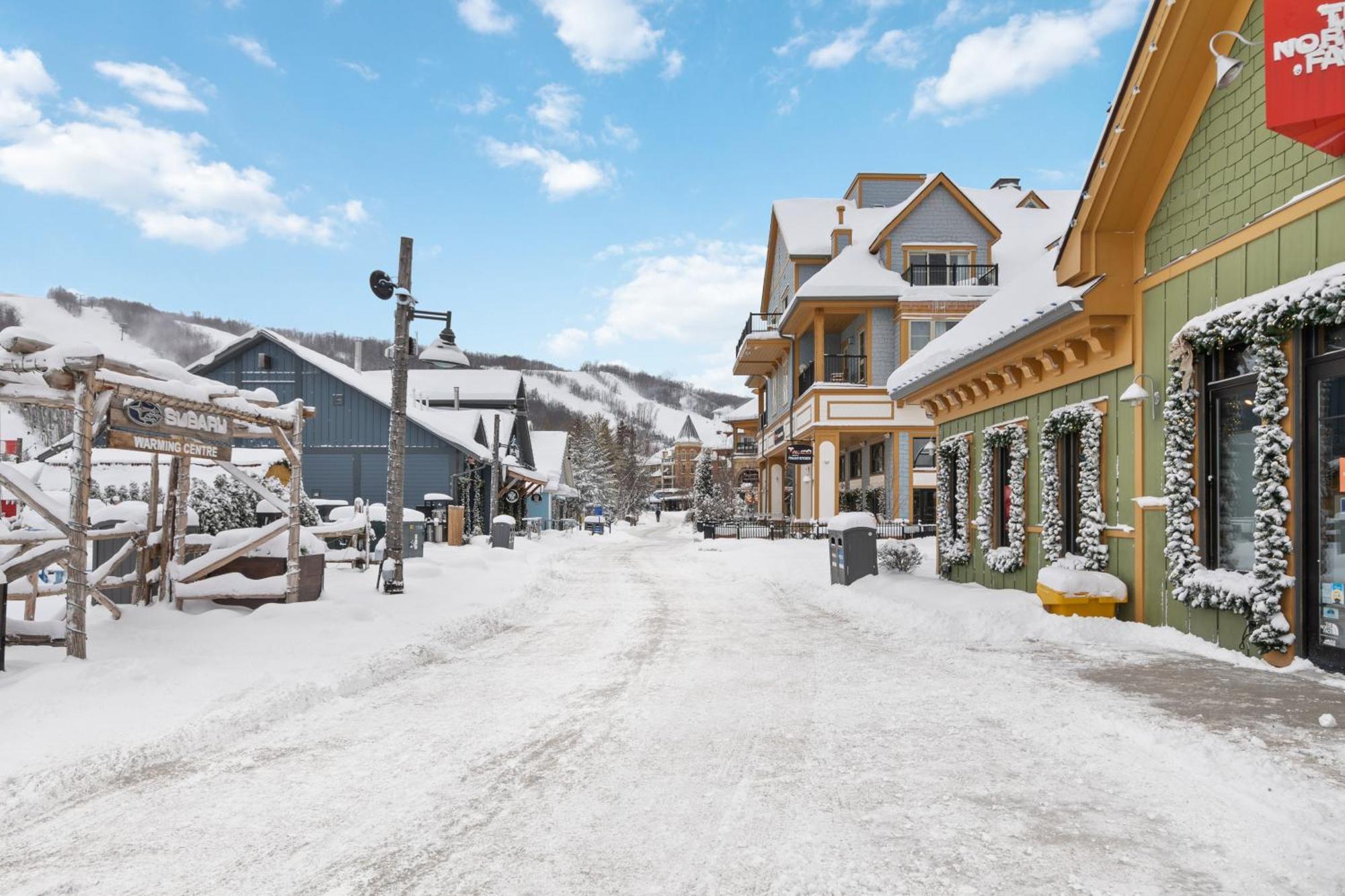 Вілла Blue Mtn Getaway In Historic Snowbridge Chalet Колінгвуд Екстер'єр фото